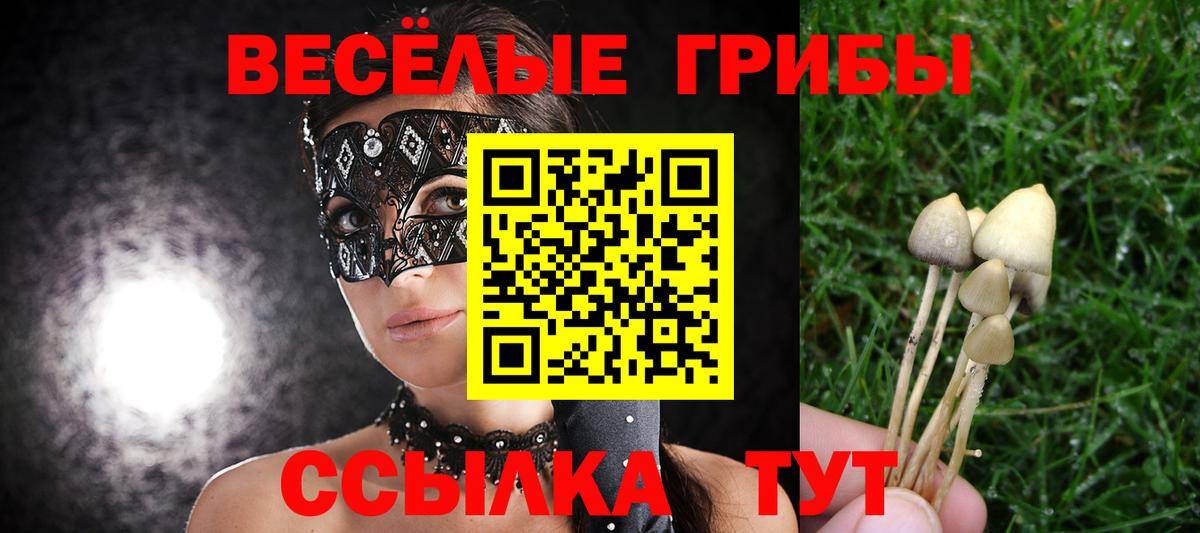 Старая Купавна  Псилоцибиновые грибы ЛСД  Вход с VPN 